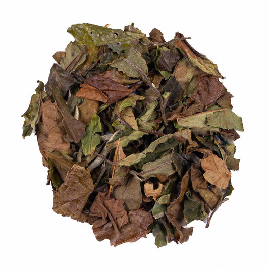 China White Peony Premium White Tea 